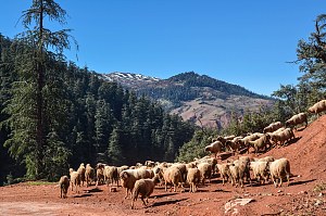 中亚特拉斯山脉 3