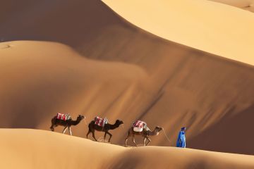 Sahara photo 1