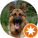 attractions-reviews-avatar