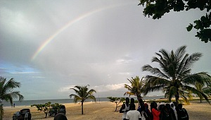 巴考 4