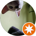 attractions-reviews-avatar