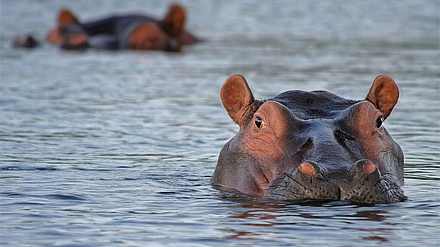 Kainji National Park
