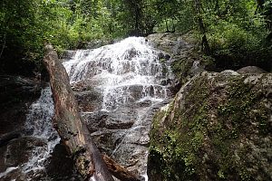 阿菲山野生动物保护区 5