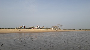 瓦雷拉 3