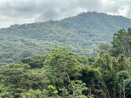 Western Area National Park