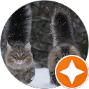 attractions-reviews-avatar