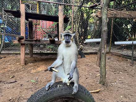 Libassa Wildlife Sanctuary