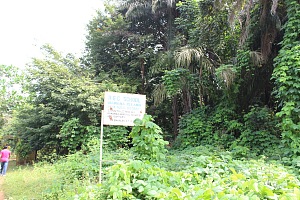 西部半岛国家公园 4