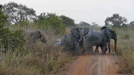 Pendjari National Park