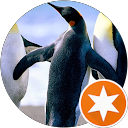 attractions-reviews-avatar