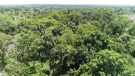  Abdoulaye Faunal Reserve