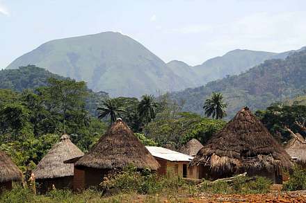 Mount Nimba Strict Nature Reserve