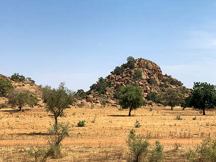 Wongo National Park