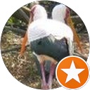 attractions-reviews-avatar