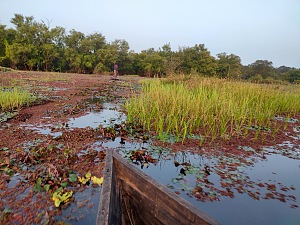 河马湖 2