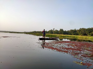 河马湖 4