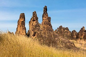 辛杜峰 5