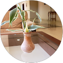 attractions-reviews-avatar