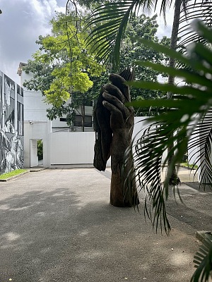 塞西尔·法库里画廊 5
