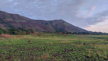 Mount Nimba Strict Nature Reserve