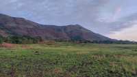 Mount Nimba Strict Nature Reserve