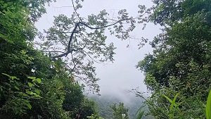 马戈巴峡谷 2