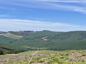 马戈巴峡谷 3