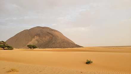 Ben Amera