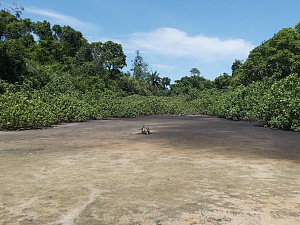 埃霍蒂莱群岛国家公园 5
