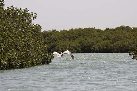 Lagune de la Somone