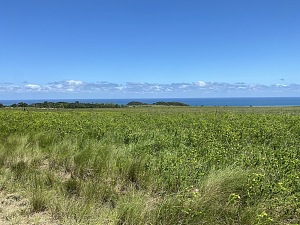 姆坎巴蒂自然保护区 5