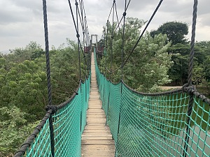 莱贡植物园 2