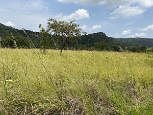 沙伊山资源保护区 2
