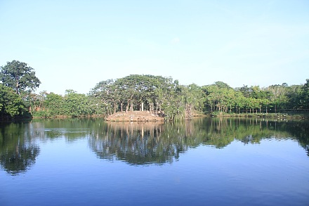 莱贡植物园