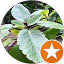 attractions-reviews-avatar