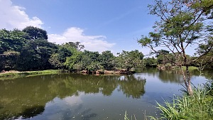 莱贡植物园 4
