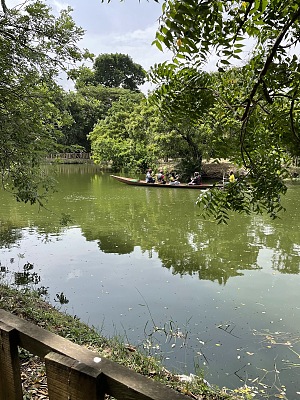 莱贡植物园 5
