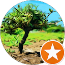 attractions-reviews-avatar