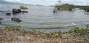 卢辛加岛 2