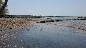 卢辛加岛 4