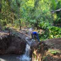 Rau Forest Reserve