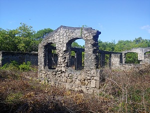 辛达岛 5