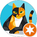 attractions-reviews-avatar