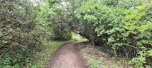 海拉克斯山 4