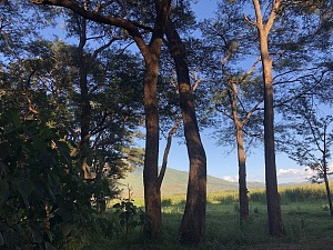 巴巴蒂湖 4