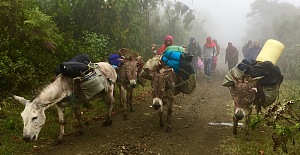 恩帕凯火山口 2