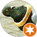 attractions-reviews-avatar