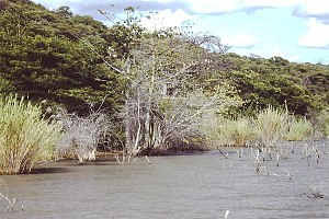 鲁夸湖 3