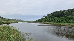 乌姆兰加潟湖自然保护区 2