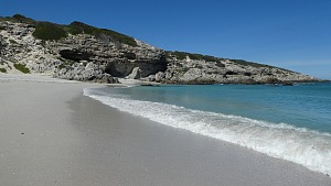 沃克湾自然保护区 5